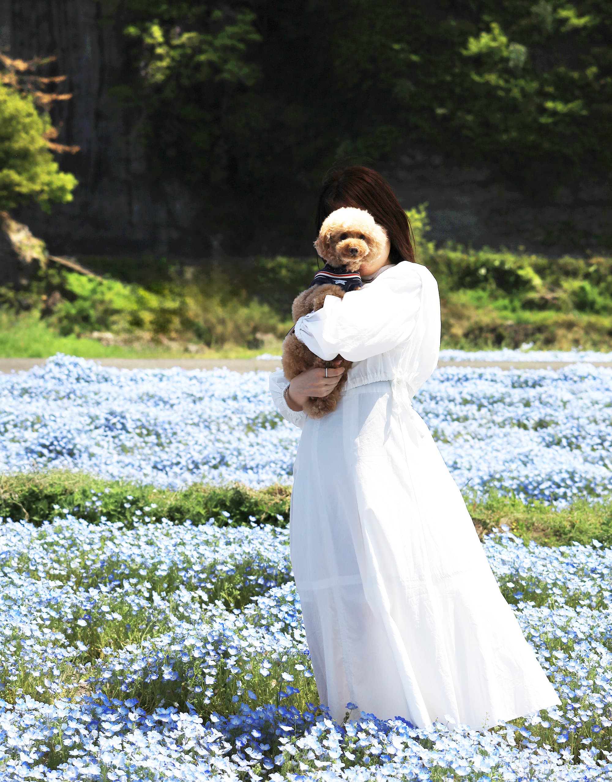 私と犬